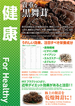 シンガポール