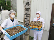 舞茸作業
