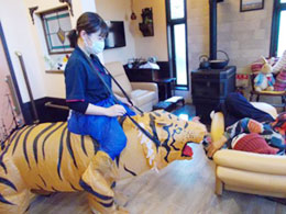 イベントの様子