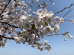 イベントの様子