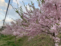 イベントの様子
