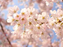 イベントの様子