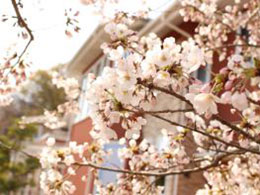 イベントの様子