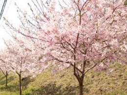 イベントの様子