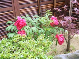 イベントの様子