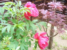 イベントの様子