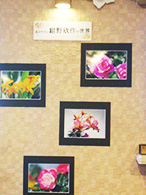 イベントの様子