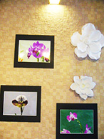 イベントの様子