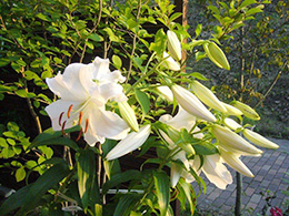 イベントの様子