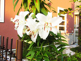 イベントの様子