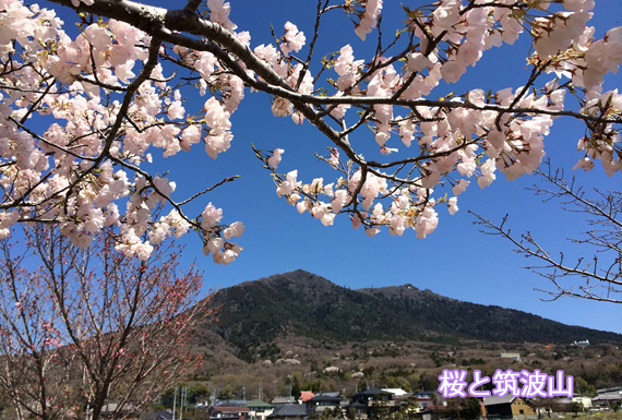 ���ƒ}�g�R