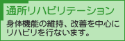 �ʏ����n�r���e�[�V����