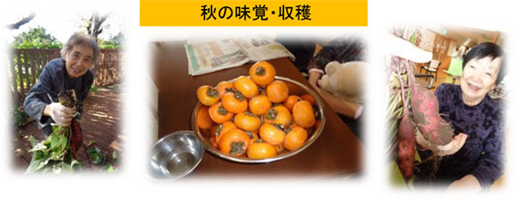 日記