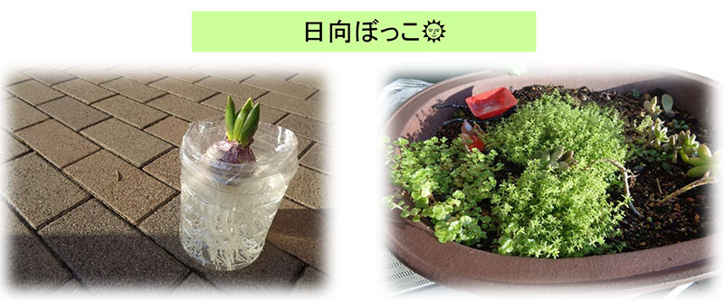 日記