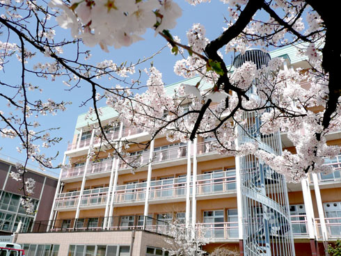 特別養護老人ホームさくら聖母の園