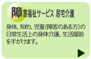 ��Q�����T�[�r�X ������