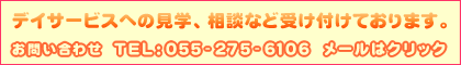 �f�C�T�[�r�X�̌�����