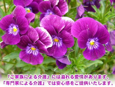 �u���Ƒ��ɂ����v�ɂ͈��鈤�����܂��B�u���Ƃɂ����v�ł͈��S�������񋟂������܂��B
