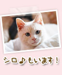 ���܂�����܂��I