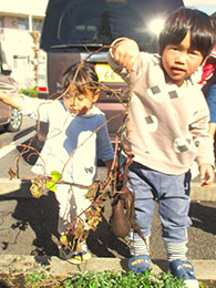 イベント写真