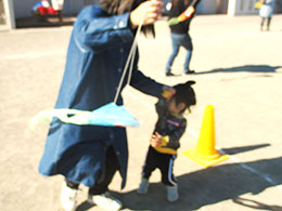 イベント写真
