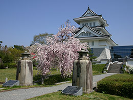 ������ ��