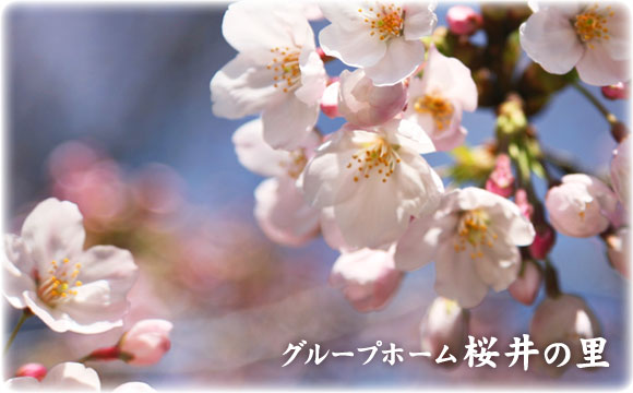 大阪　グループホーム　桜井の里