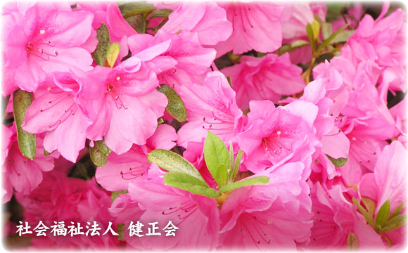 大阪　グループホーム　桜井の里