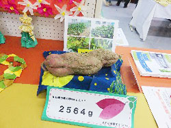山口苑デイサービス