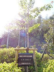 イベント風景
