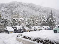 積雪