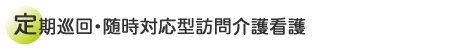 定期巡回・随時対応型訪問介護看護