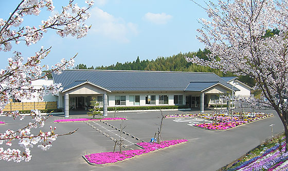 �C���[�W�摜