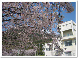 ���Ⴍ�Ȃ������ʌ���