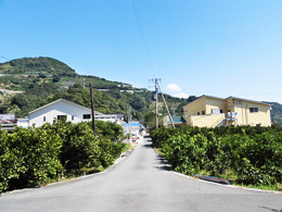 「めぐみの里」「海里（みさと）」の全景