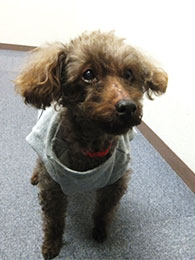 皆様のお越しを待ってます!