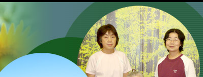 �g�b�v�C���[�W�摜