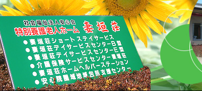 �g�b�v�C���[�W�摜