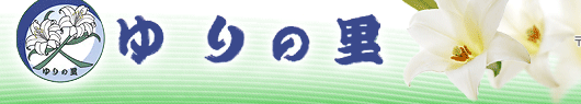 ���̗�