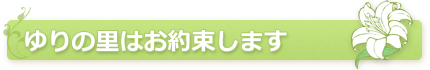 ���̗��͂��񑩂��܂�