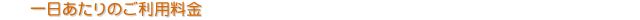 ���������̂����p����