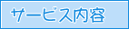 �T�[�r�X���e