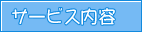 �T�[�r�X���e