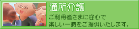 �ʏ����
