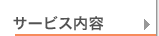 �T�[�r�X���e