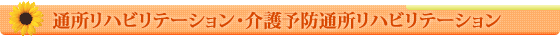 �ʏ����n�r���e�[�V�����E���\�h�ʏ����n�r���e�[�V����