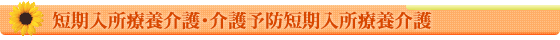 短期入所療養介護・介護予防短期入所療養介護