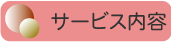 �T�[�r�X���e