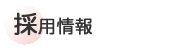 �̗p���