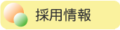 �̗p���